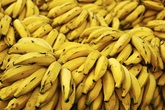 Banana mulata