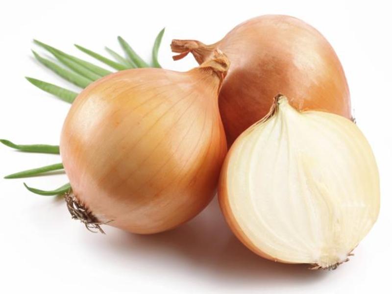 Cebola